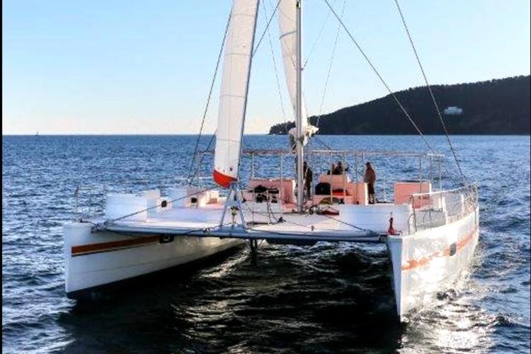 Custom DAYCHARTER 2026 catamaran sailing on open sea with clear sky.