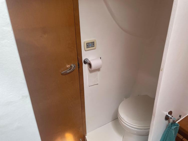Compact bathroom with toilet, wooden door, and wall-mounted control panel in Custom KSENIA 149, 2010.